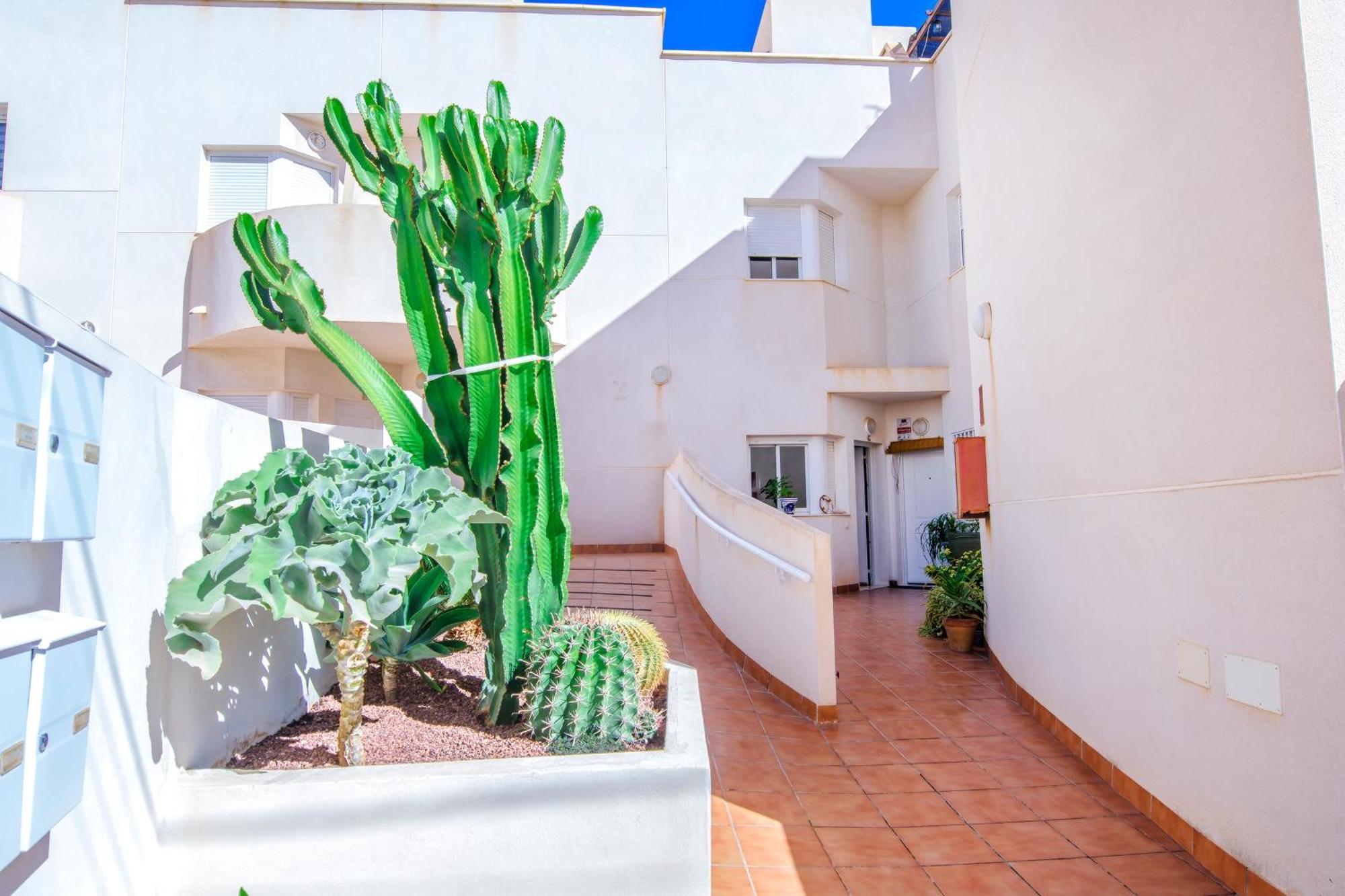 Ferienhaus House Millares